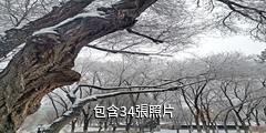 奎屯潤民生態園驢友相冊