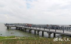 第八届中国花博会[常州]旅游攻略之观湖栈桥