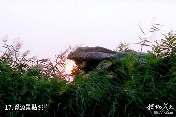 銀川鳴翠湖國家濕地公園-覓源照片