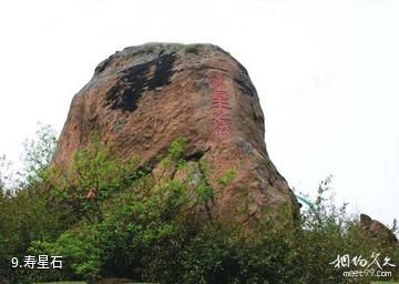 苏州白马涧生态园-寿星石照片