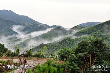 湖南陽明山國家級自然保護區-保護區照片