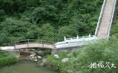 河南坐禪谷旅遊攻略之小橋流水