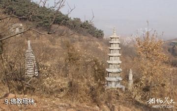 山东灵泉寺-佛教塔林照片