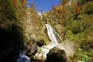 吉林白山臨江花山旅遊攻略-花山鎮景點排行榜