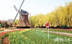 青岛百果山世界园艺博览会旅游攻略之荷兰园