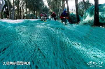 舟山螞蟻島-織魚網照片