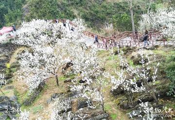 铜仁沿河南庄景区-李林照片