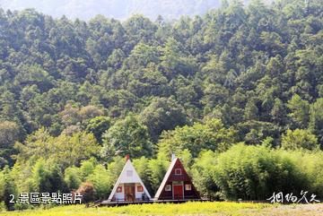 南平武夷源景區-景區照片