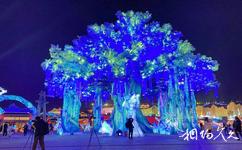 自贡中华彩灯大世界旅游攻略之灯会