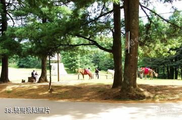 楚雄紫溪山風景區-騎馬照片