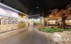 伊犁哈薩克自治州博物館旅遊攻略之伊犁自然與資源展