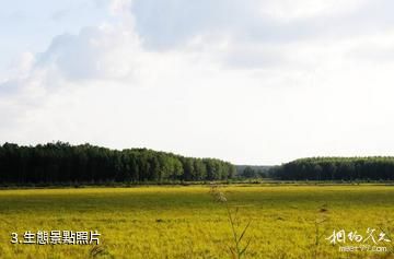 黑龍江三江國家級自然保護區-生態照片