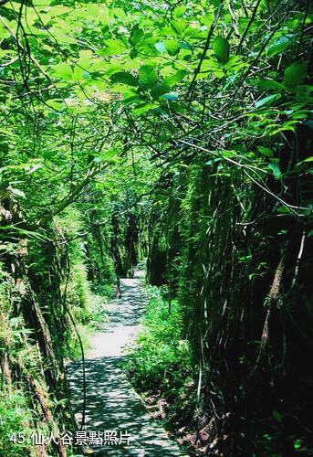 江西漢仙岩風景區-仙人谷照片