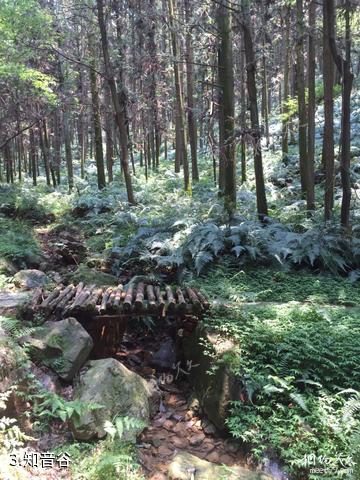 武汉九真山风景区-知音谷照片