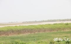山东黄河三角洲国家级自然保护区旅游攻略之黄河