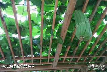 凱里雲谷田園生態農業旅遊景區-瓜果長廊照片