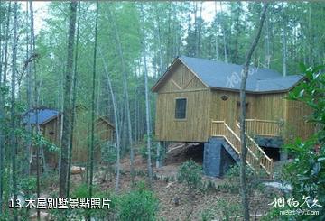 安慶蓮洞國家森林公園-木屋別墅照片