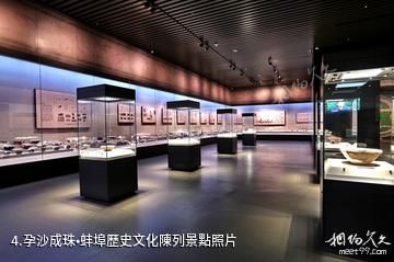 蚌埠市博物館-孕沙成珠•蚌埠歷史文化陳列照片