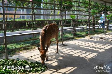 鎮江鳳凰山莊-養殖場照片