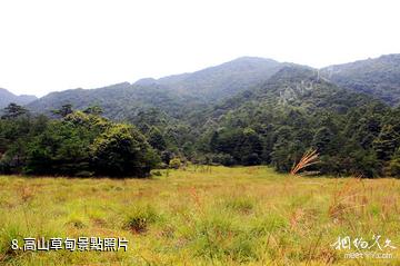 福建梅花山國家級自然保護區-高山草甸照片