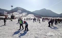 北京漁陽國際滑雪場旅遊攻略之滑雪學校