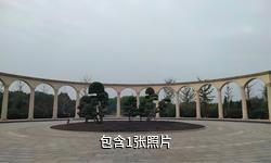 聊城市凤凰苑农业科技园驴友相册