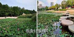 銀川龍池驢友相冊