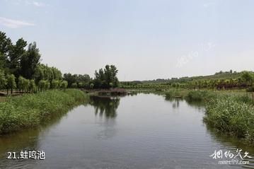 山西孝河国家湿地公园-蛙鸣池照片