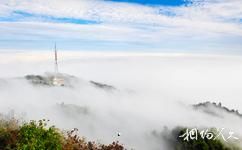 武岡雲山國家森林公園旅遊攻略之雲海