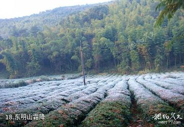 杭州东明山森林公园-东明山霜降照片