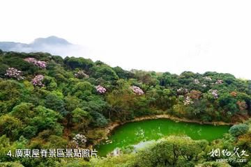 廣東天井山國家森林公園-廣東屋脊景區照片