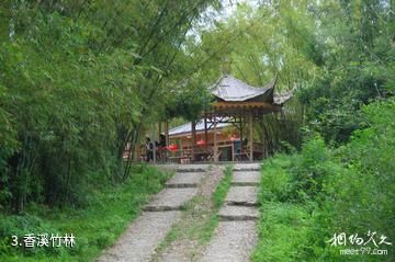 惠州香溪堡旅游区-香溪竹林照片