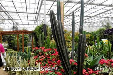 淮安日月洲生態園-生態溫室大棚種植基地照片