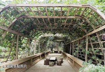 和田夏合勒克莊園-果園照片