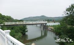 青島森林野生動物世界旅遊攻略之自由觀光橋