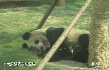臨沂動植物園-大熊貓館照片
