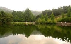 魯山國家森林公園旅遊攻略之魯山植物園