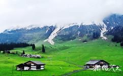 阿爾卑斯山旅遊攻略之風景