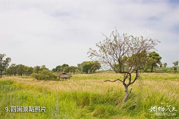 哈爾濱金河灣濕地植物園-四園照片