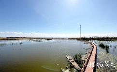 哈尔滨呼兰河口湿地公园旅游攻略之观光栈道