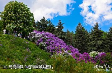 烏克蘭基輔市-烏克蘭國立植物園照片