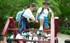 香港九龍公園旅遊攻略之健身徑