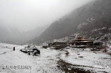 西藏扎日風景區-幾甲寺照片