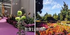 乌鲁木齐植物园驴友相册