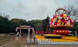 上海龙华烈士陵园驴友相册