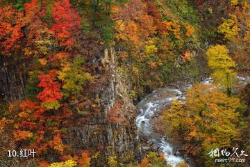 山西灵石红崖峡谷-红叶照片
