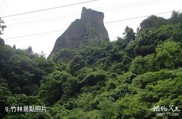 仙居官坑風景區-竹林照片