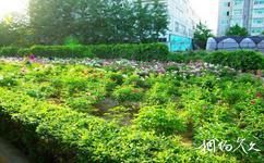 赤峰市植物园旅游攻略之百花园
