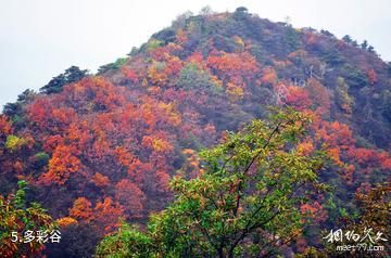 济南香山旅游区-多彩谷照片