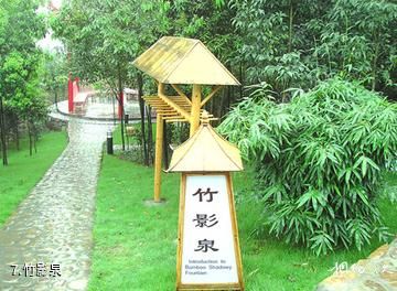 张家界万福温泉国际旅游度假区-竹影泉照片